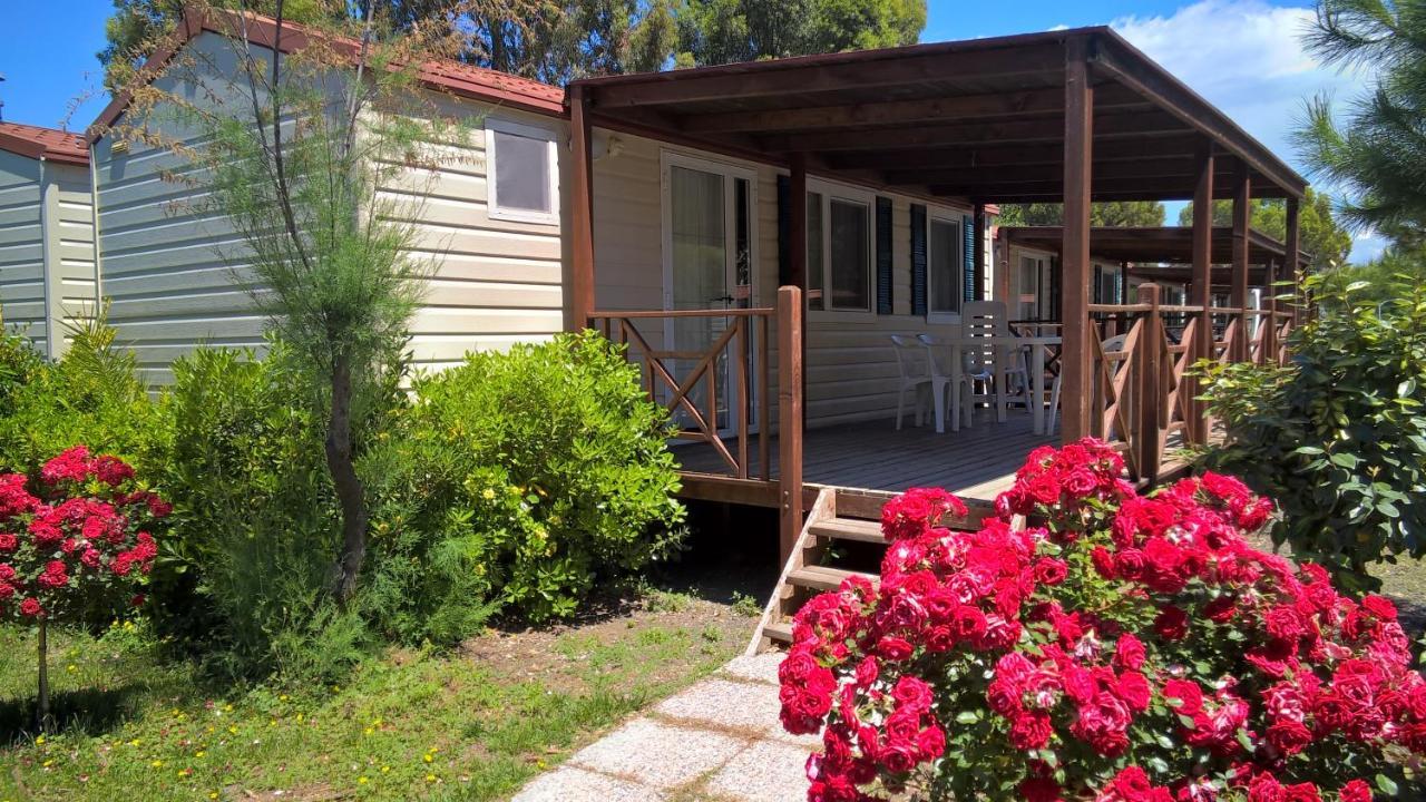 New Camping Le Tamerici Marina di Cecina Exterior photo